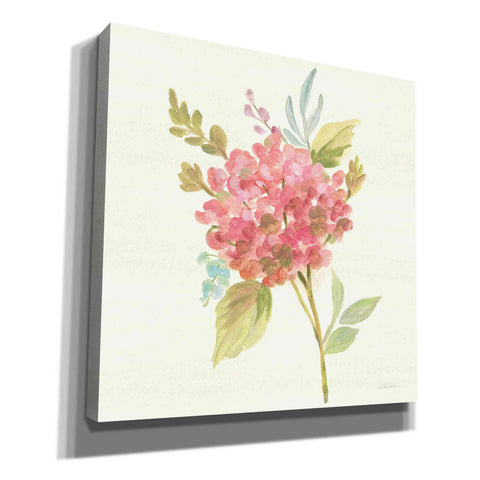 Image of 'Petals and Blossoms VII' by Silvia Vassileva, Canvas Wall Art
