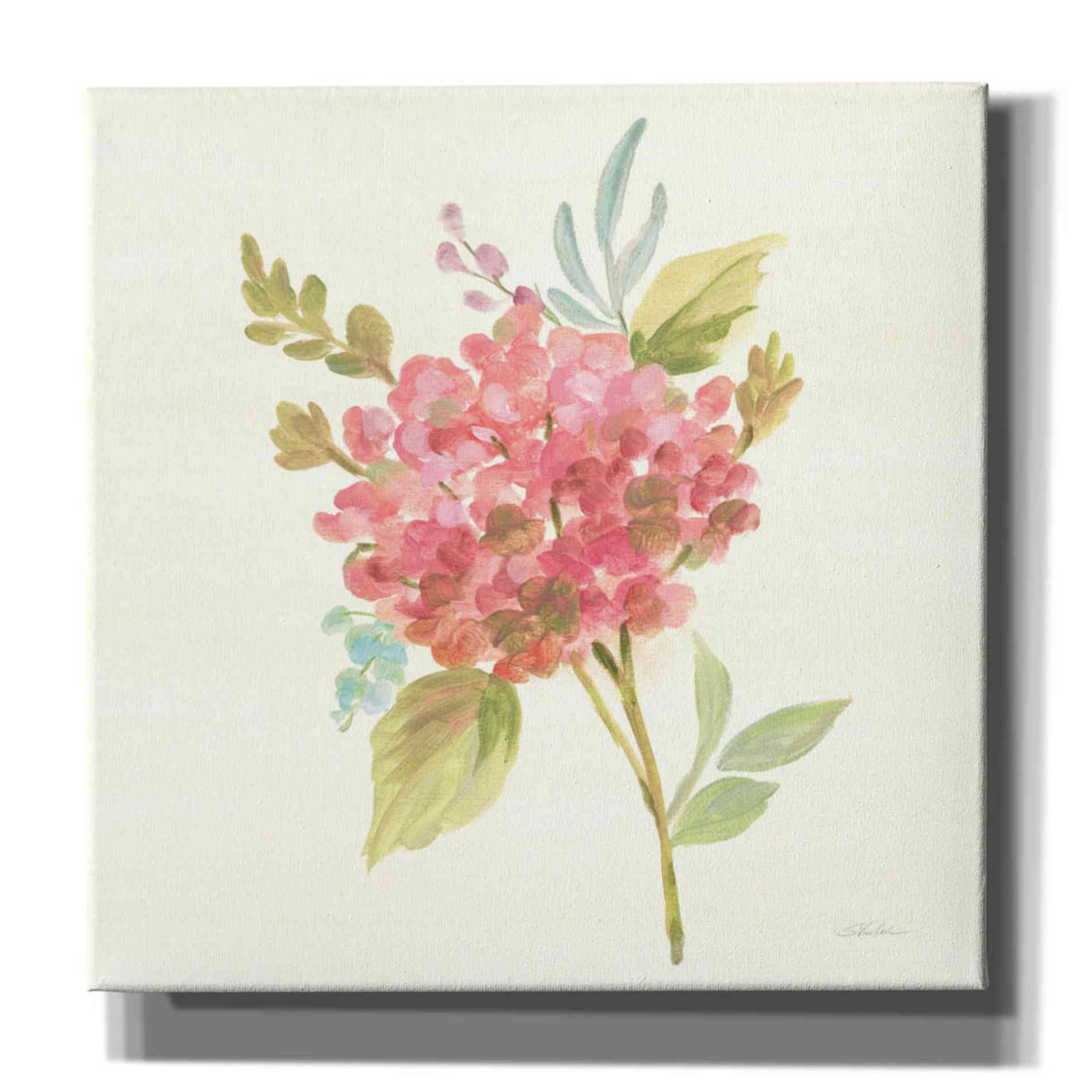 'Petals and Blossoms VII' by Silvia Vassileva, Canvas Wall Art