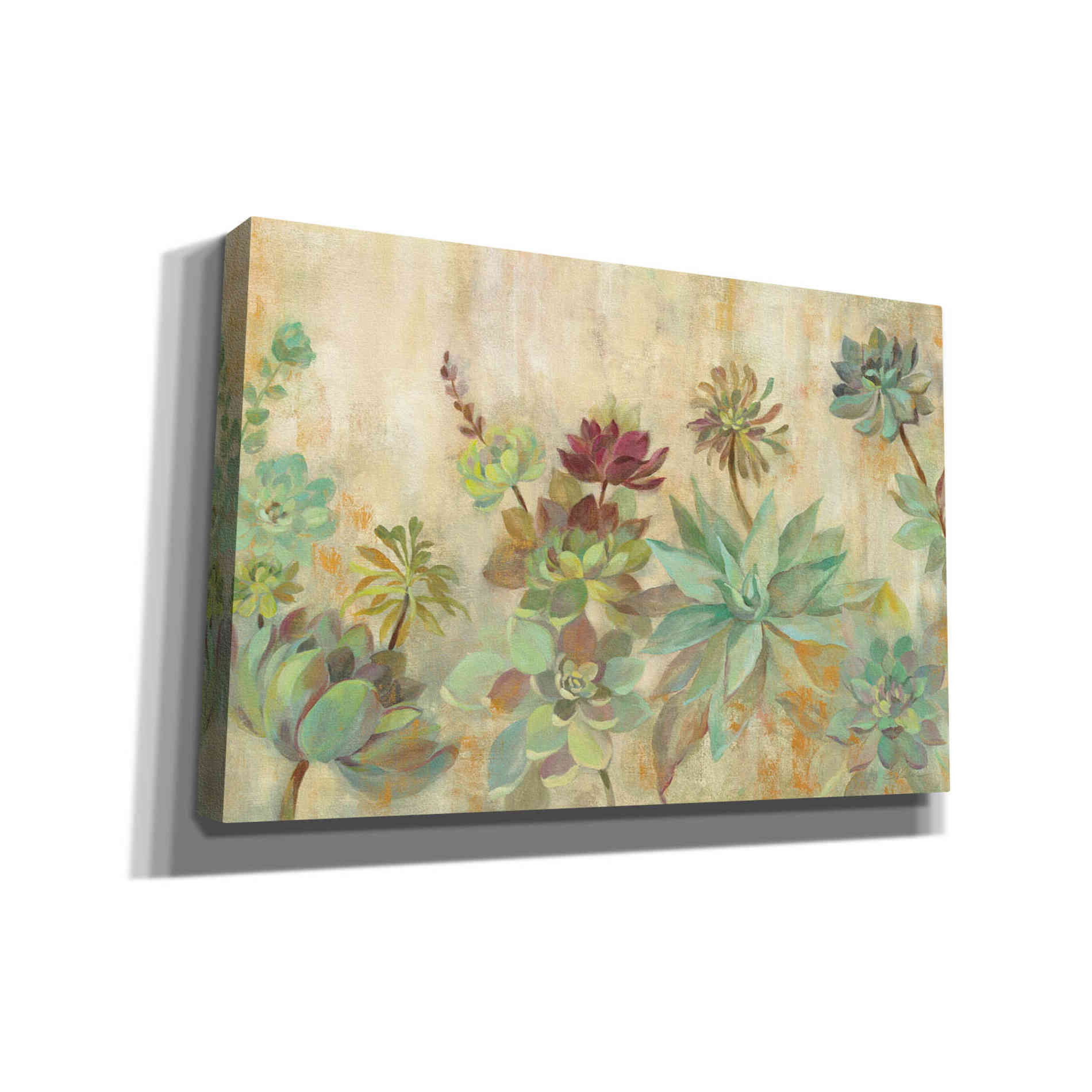 'Succulent Garden' by Silvia Vassileva, Canvas Wall Art