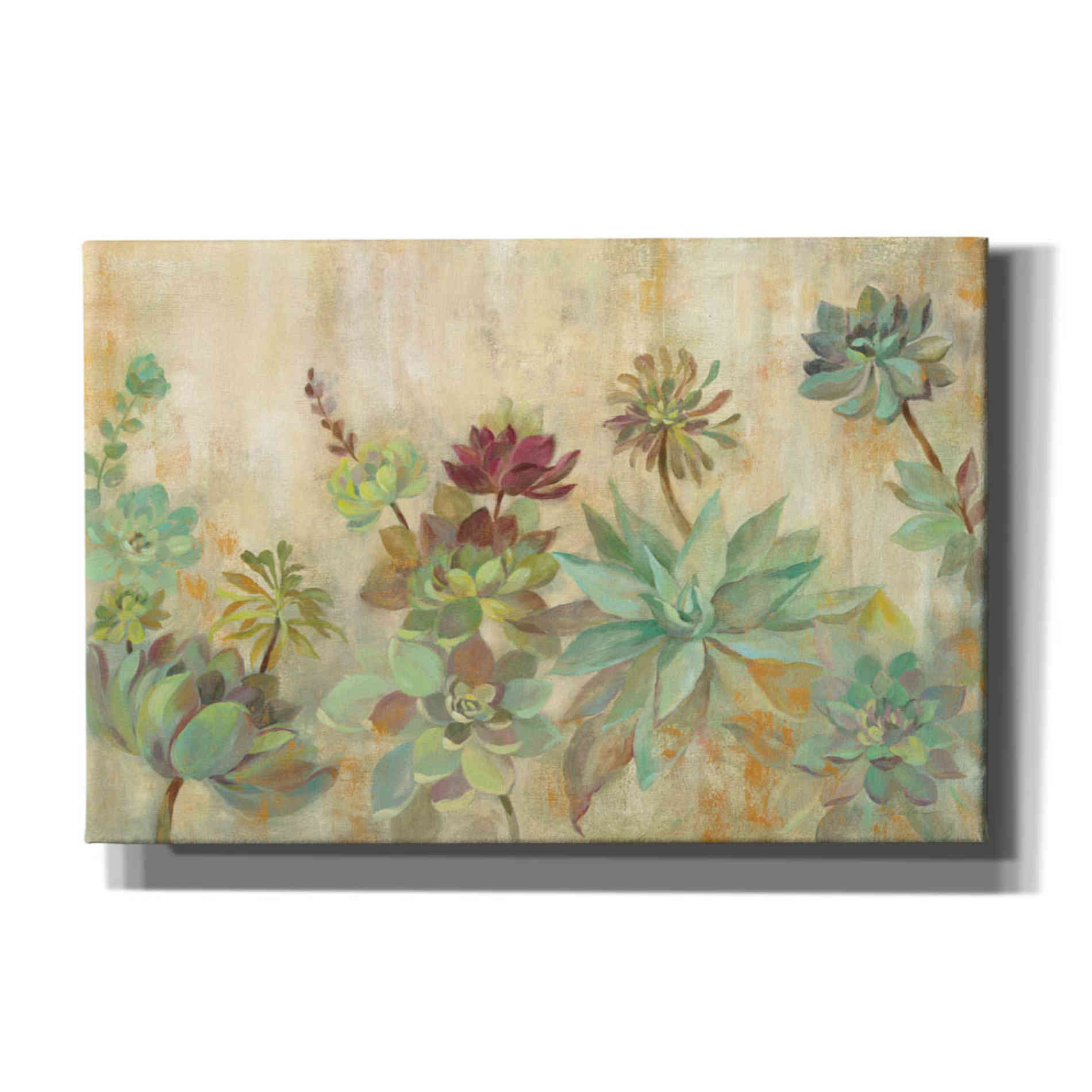'Succulent Garden' by Silvia Vassileva, Canvas Wall Art