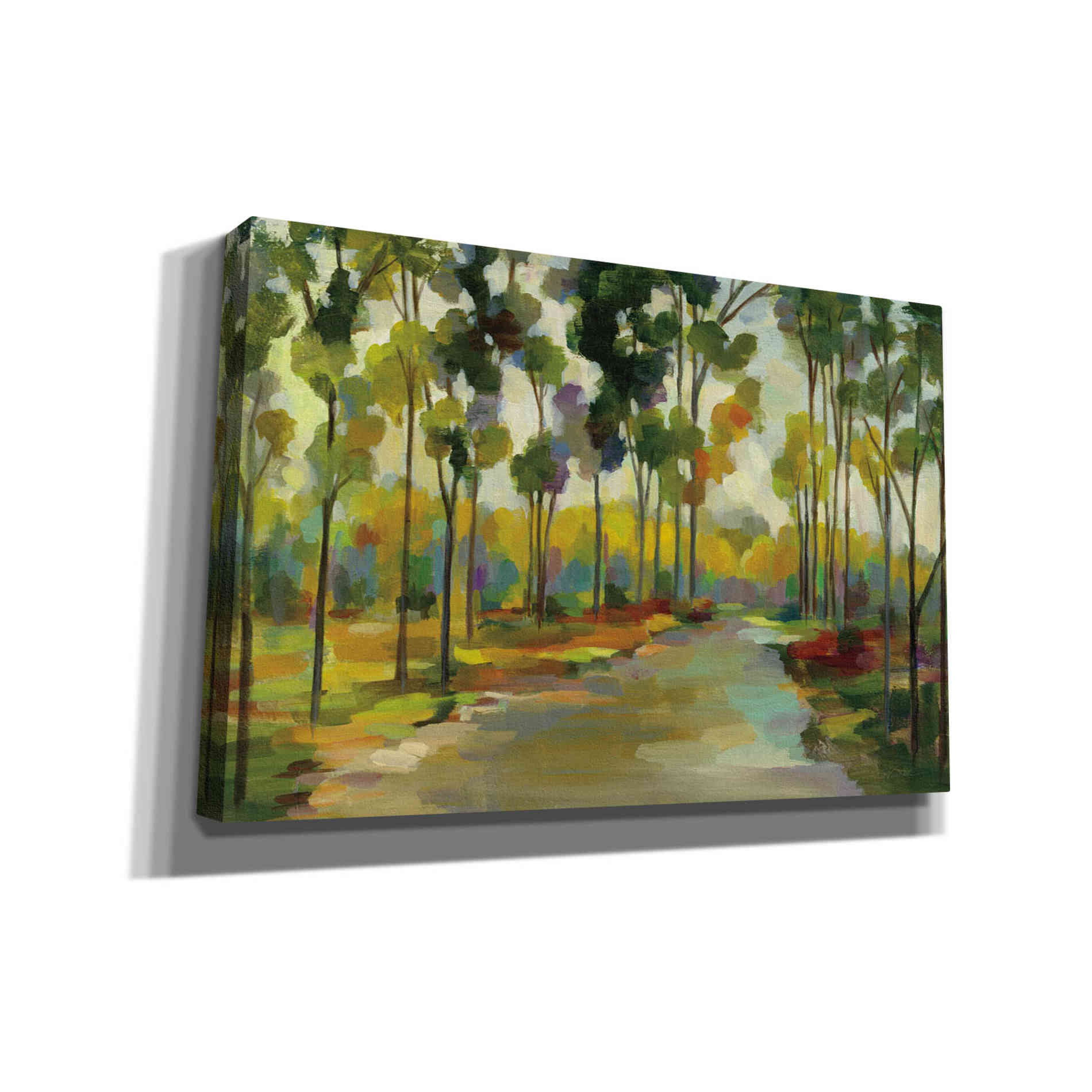 'Path in the Forest' by Silvia Vassileva, Canvas Wall Art