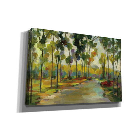 Image of 'Path in the Forest' by Silvia Vassileva, Canvas Wall Art