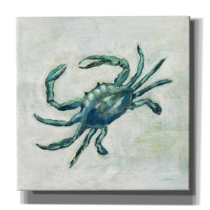 'Indigo Sea Life II' by Silvia Vassileva, Canvas Wall Art