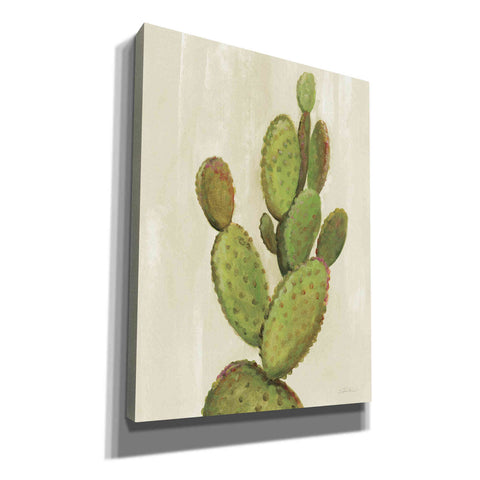 Image of 'Front Yard Cactus I' by Silvia Vassileva, Canvas Wall Art