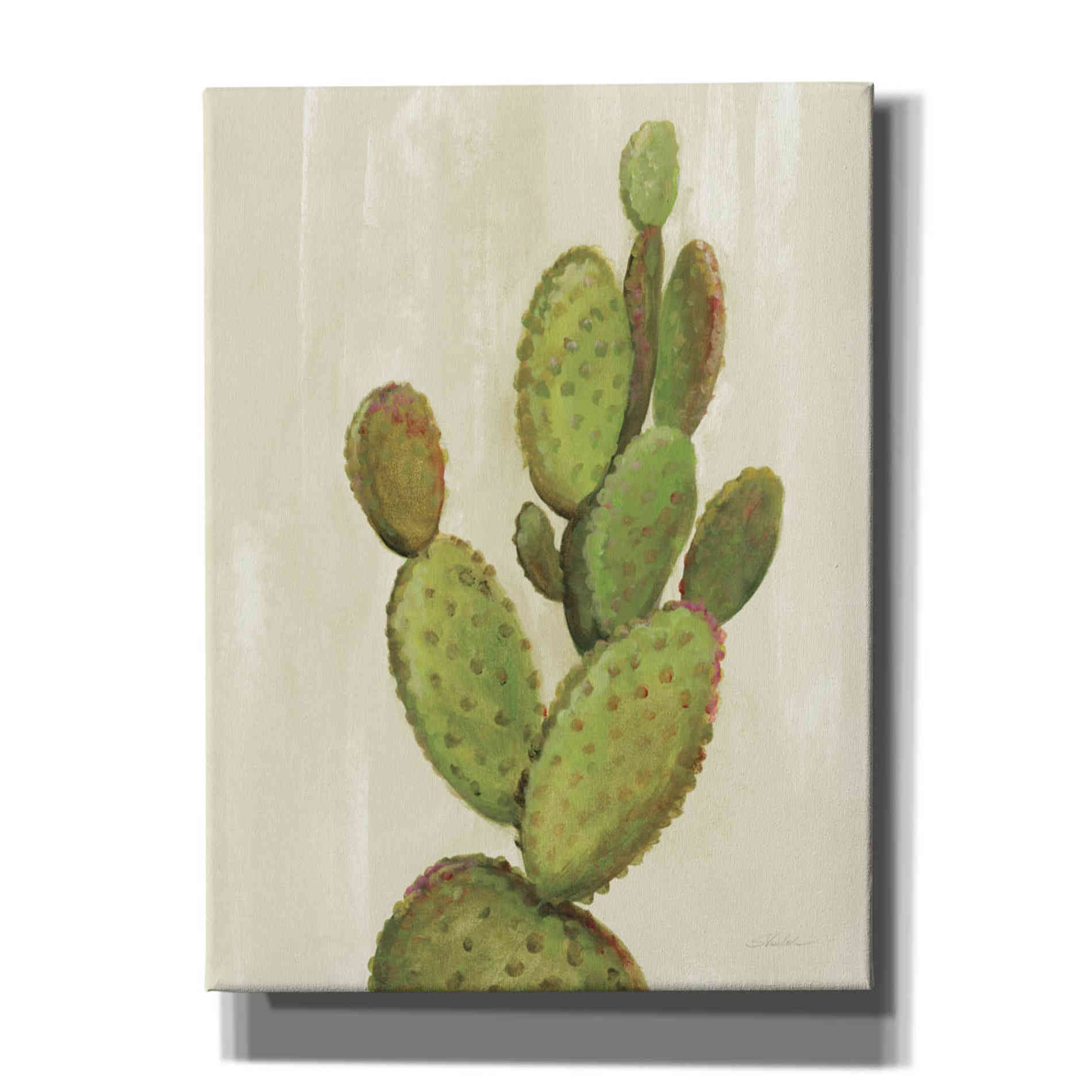 'Front Yard Cactus I' by Silvia Vassileva, Canvas Wall Art