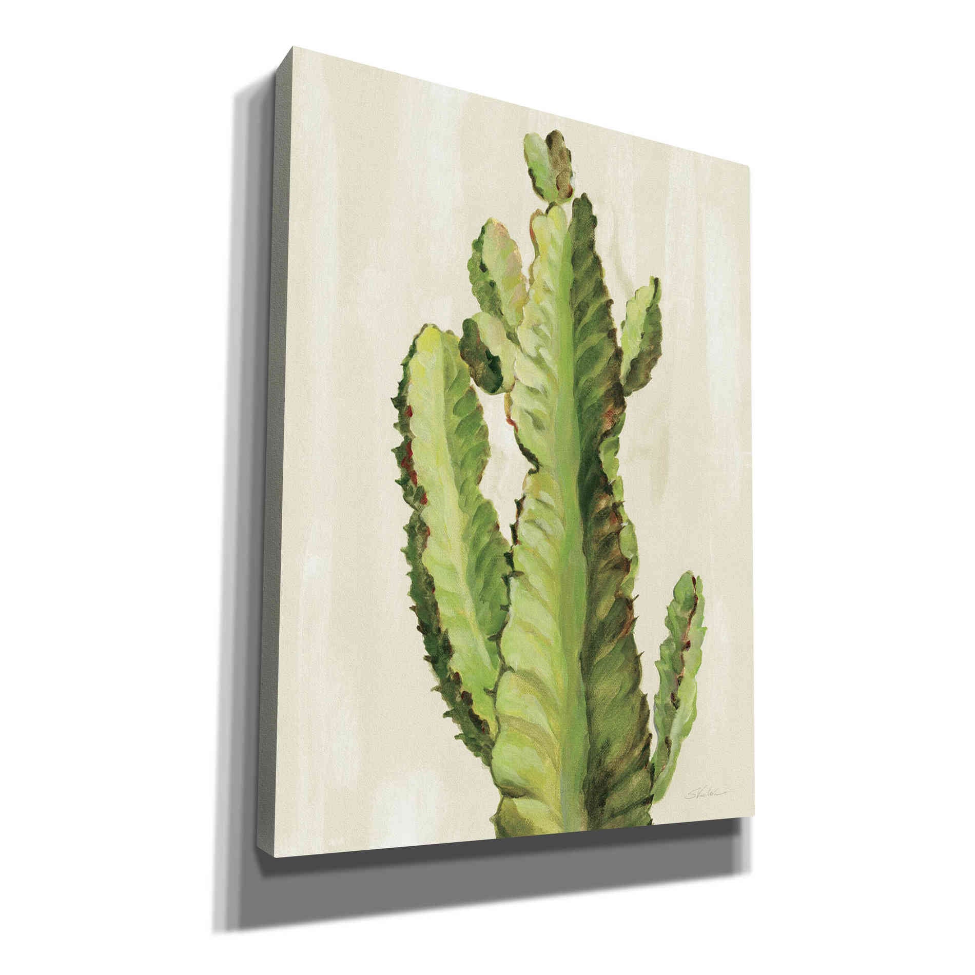 'Front Yard Cactus II' by Silvia Vassileva, Canvas Wall Art