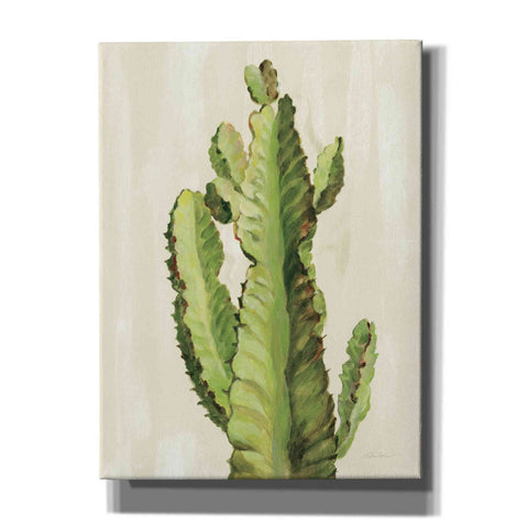 Image of 'Front Yard Cactus II' by Silvia Vassileva, Canvas Wall Art