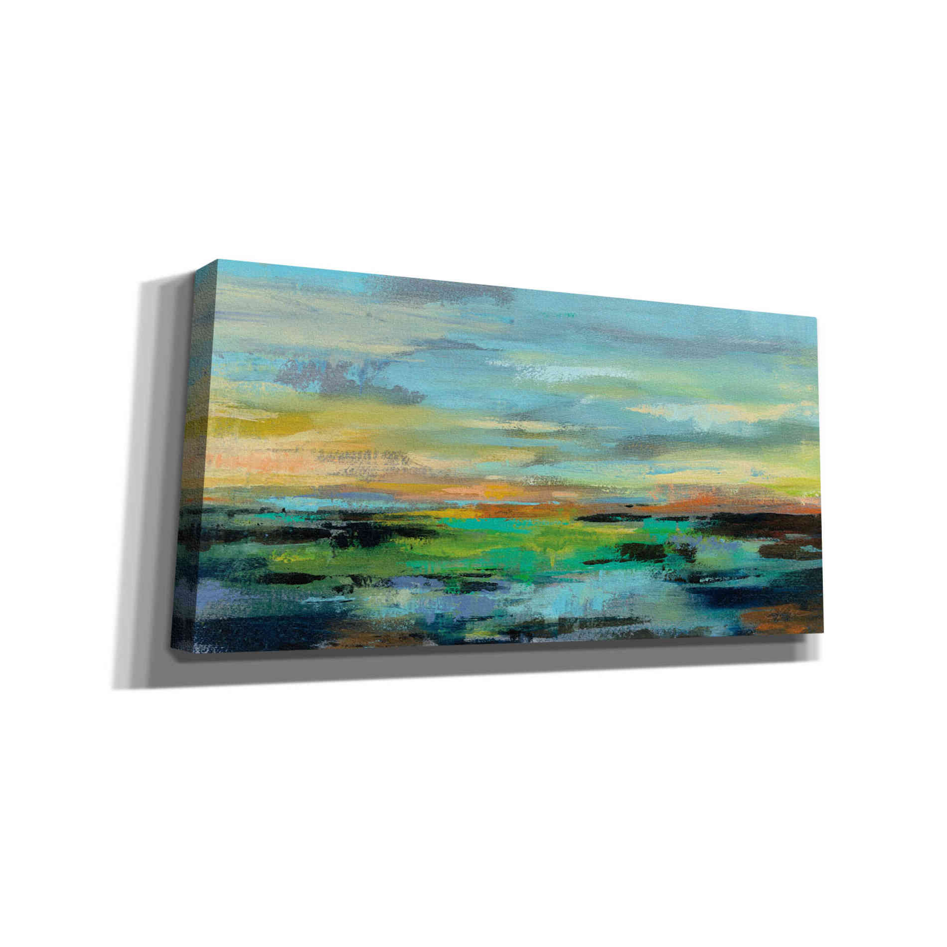 'Delmar Sunset I' by Silvia Vassileva, Canvas Wall Art