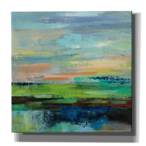 'Delmar Sunset II' by Silvia Vassileva, Canvas Wall Art