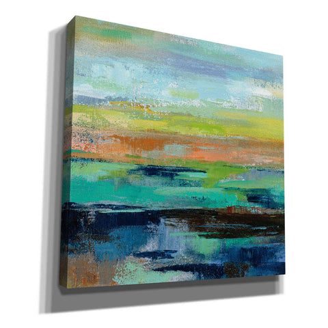 Image of 'Delmar Sunset III' by Silvia Vassileva, Canvas Wall Art