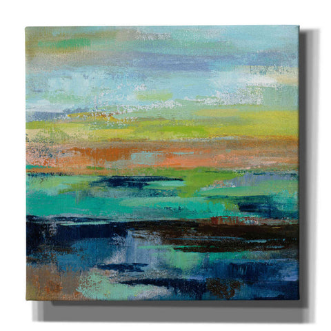 Image of 'Delmar Sunset III' by Silvia Vassileva, Canvas Wall Art