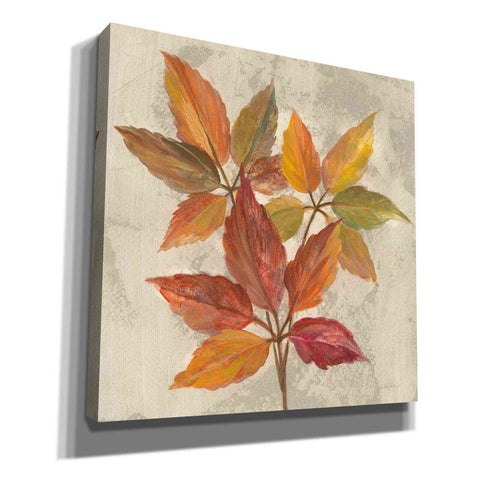 Image of 'November Leaves I' by Silvia Vassileva, Canvas Wall Art
