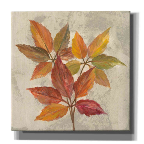 Image of 'November Leaves I' by Silvia Vassileva, Canvas Wall Art