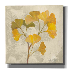 'November Leaves III' by Silvia Vassileva, Canvas Wall Art