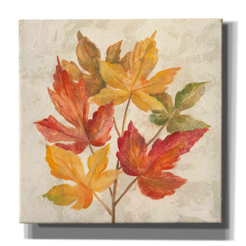 Image of 'November Leaves IV' by Silvia Vassileva, Canvas Wall Art