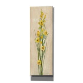 'Farm Flower III' by Silvia Vassileva, Canvas Wall Art