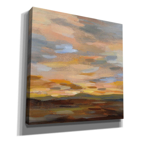 Image of 'High Desert Sky III' by Silvia Vassileva, Canvas Wall Art