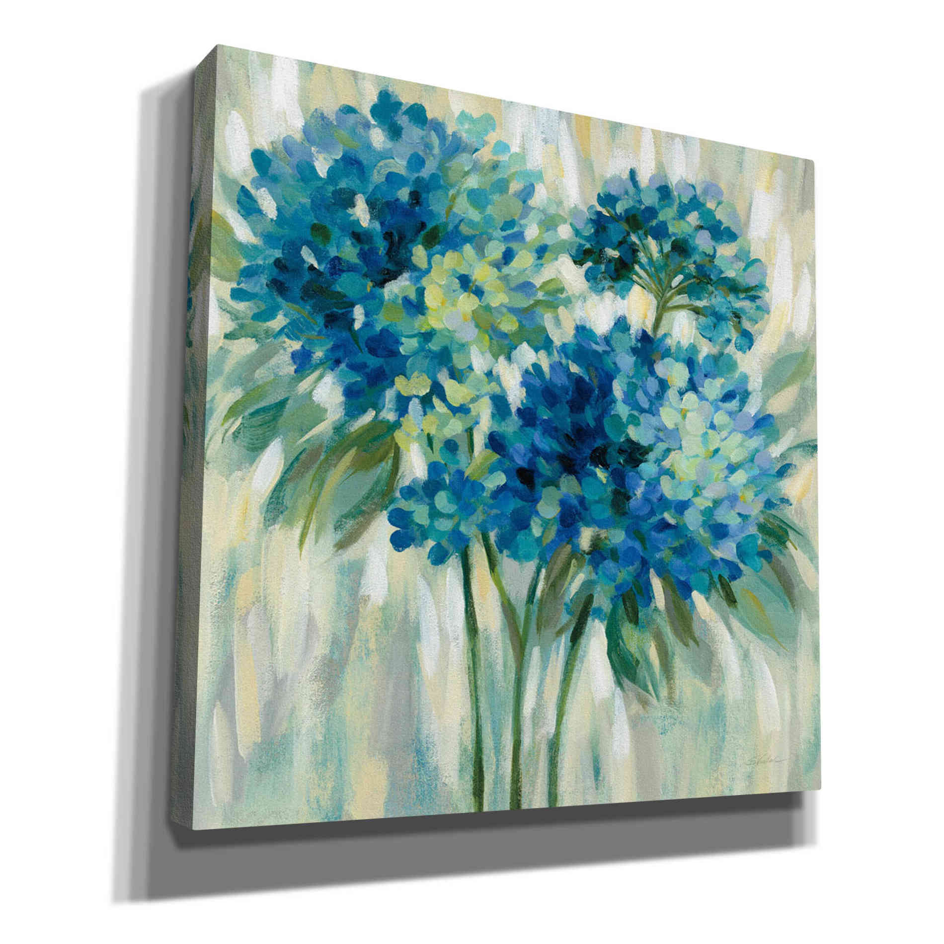 'Burst of Hydrangeas' by Silvia Vassileva, Canvas Wall Art