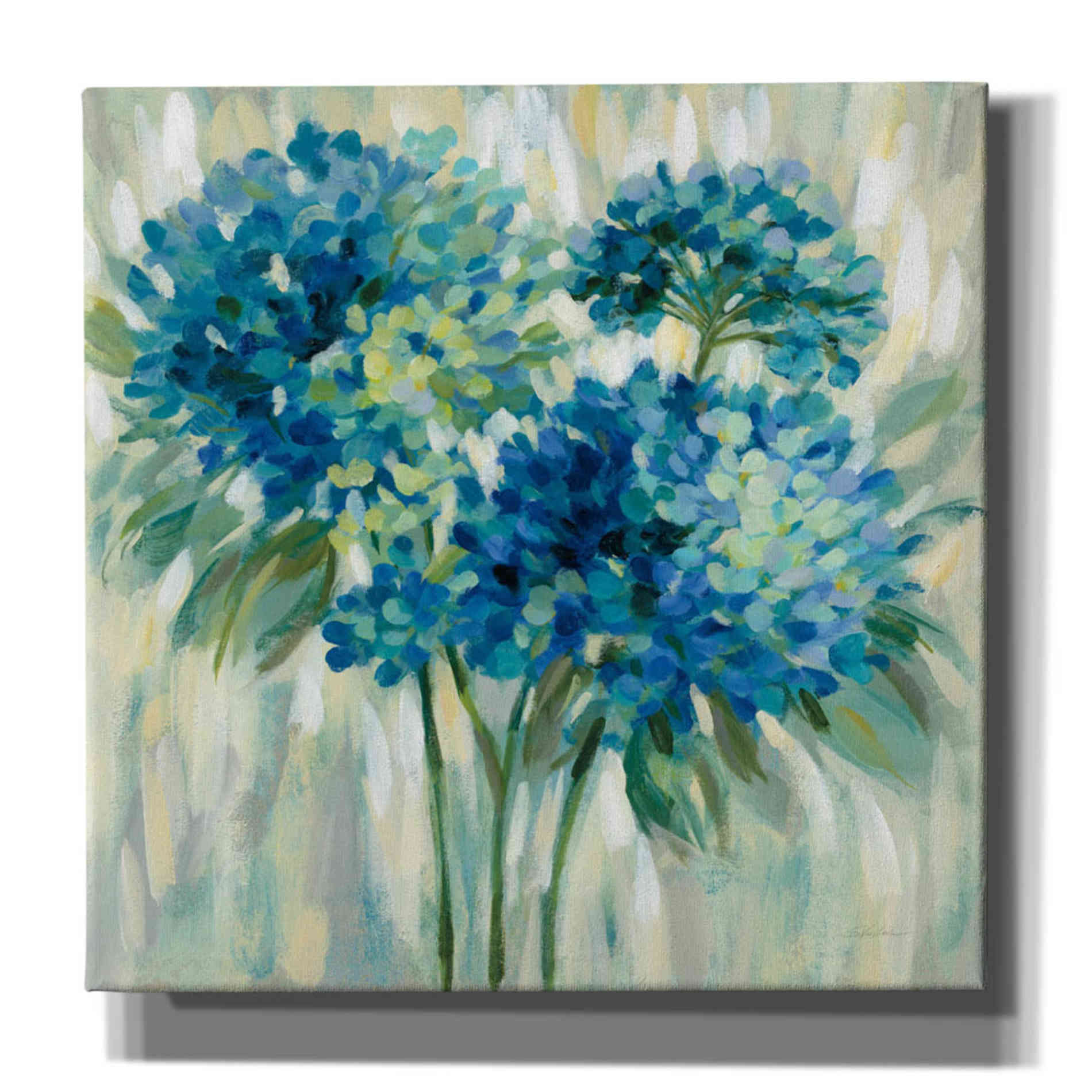 'Burst of Hydrangeas' by Silvia Vassileva, Canvas Wall Art