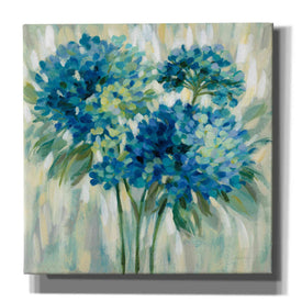 'Burst of Hydrangeas' by Silvia Vassileva, Canvas Wall Art