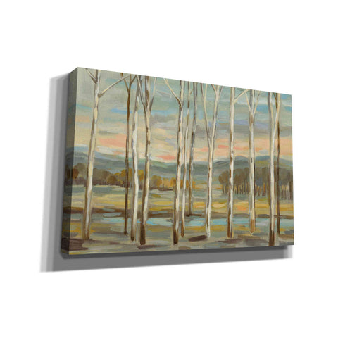 Image of 'Silver Forest' by Silvia Vassileva, Canvas Wall Art