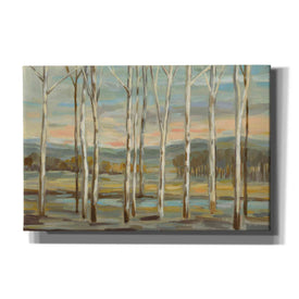 'Silver Forest' by Silvia Vassileva, Canvas Wall Art