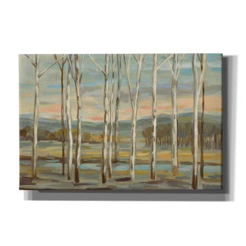 Image of 'Silver Forest' by Silvia Vassileva, Canvas Wall Art
