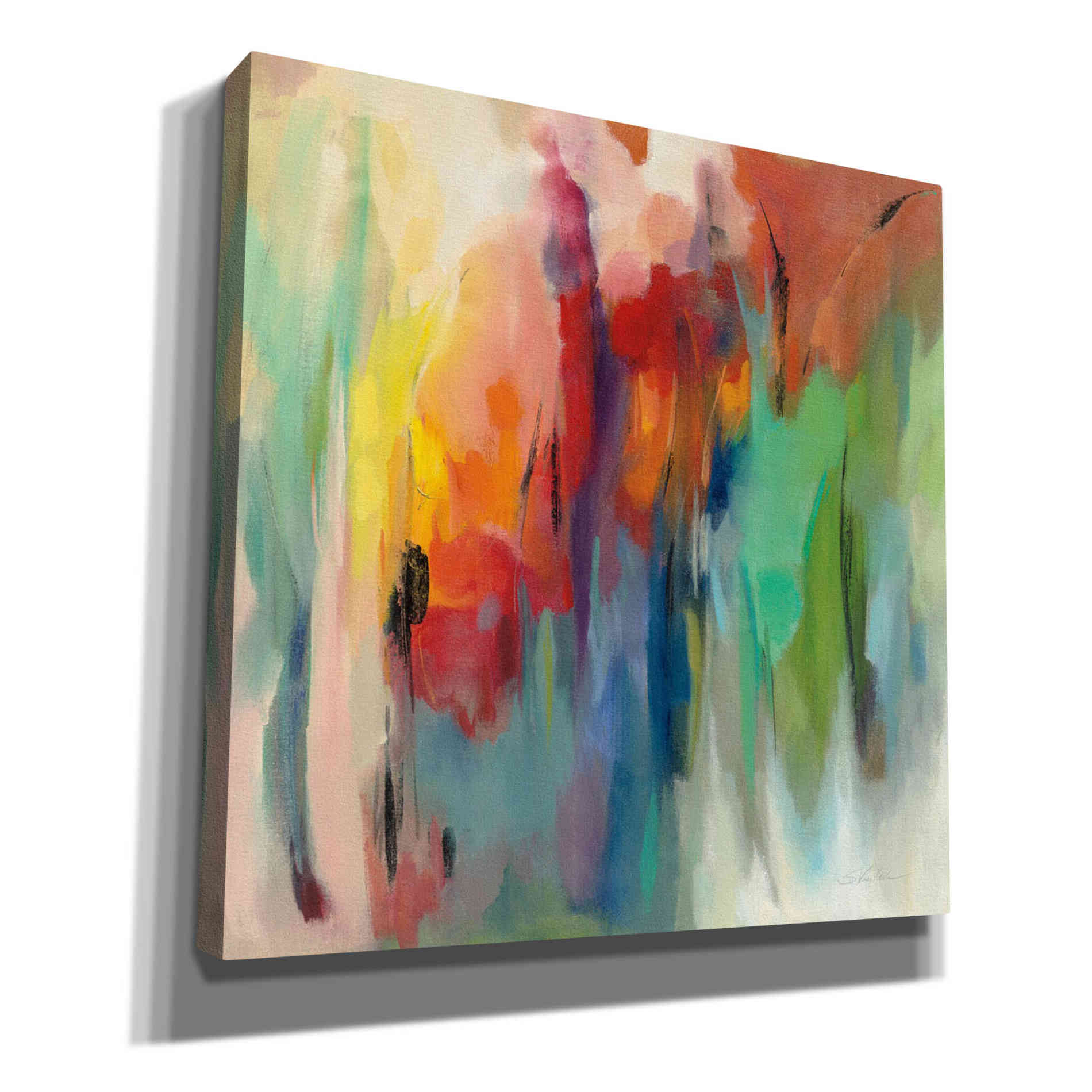 'March Rainbow' by Silvia Vassileva, Canvas Wall Art