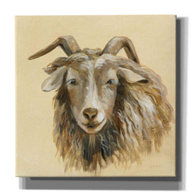'Highland Animal Sheep' by Silvia Vassileva, Canvas Wall Art
