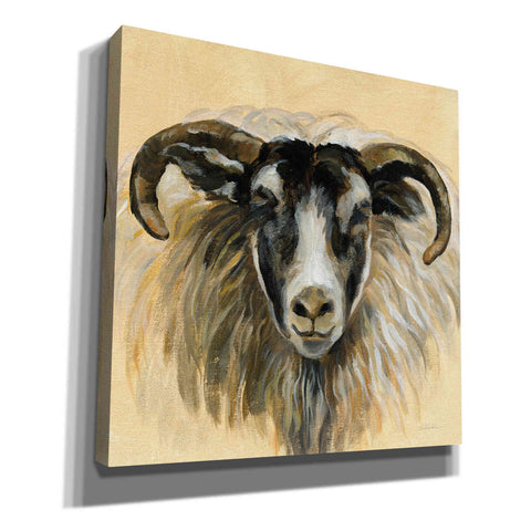 Image of 'Highland Animal Ram' by Silvia Vassileva, Canvas Wall Art