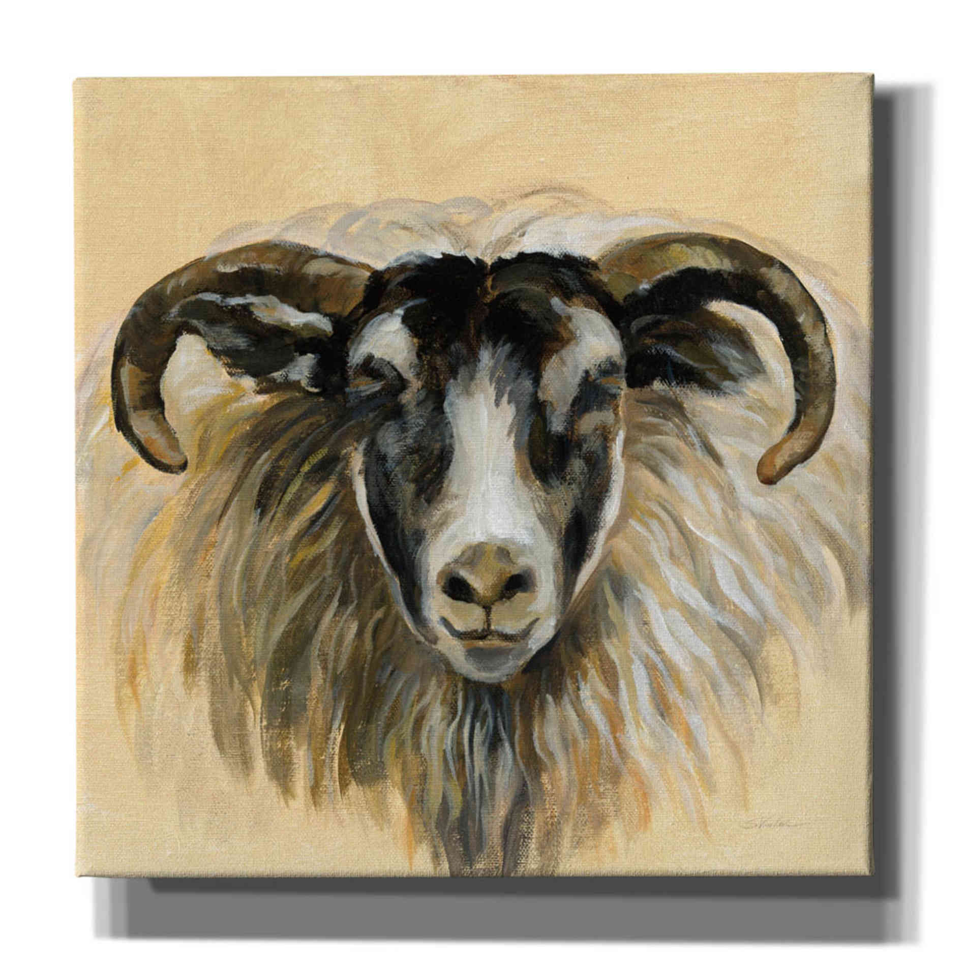 'Highland Animal Ram' by Silvia Vassileva, Canvas Wall Art