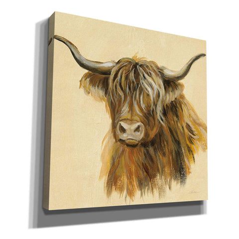 Image of 'Highland Animal Cow' by Silvia Vassileva, Canvas Wall Art