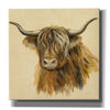 'Highland Animal Cow' by Silvia Vassileva, Canvas Wall Art