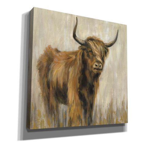 Image of 'Highland Mountain Cow' by Silvia Vassileva, Canvas Wall Art