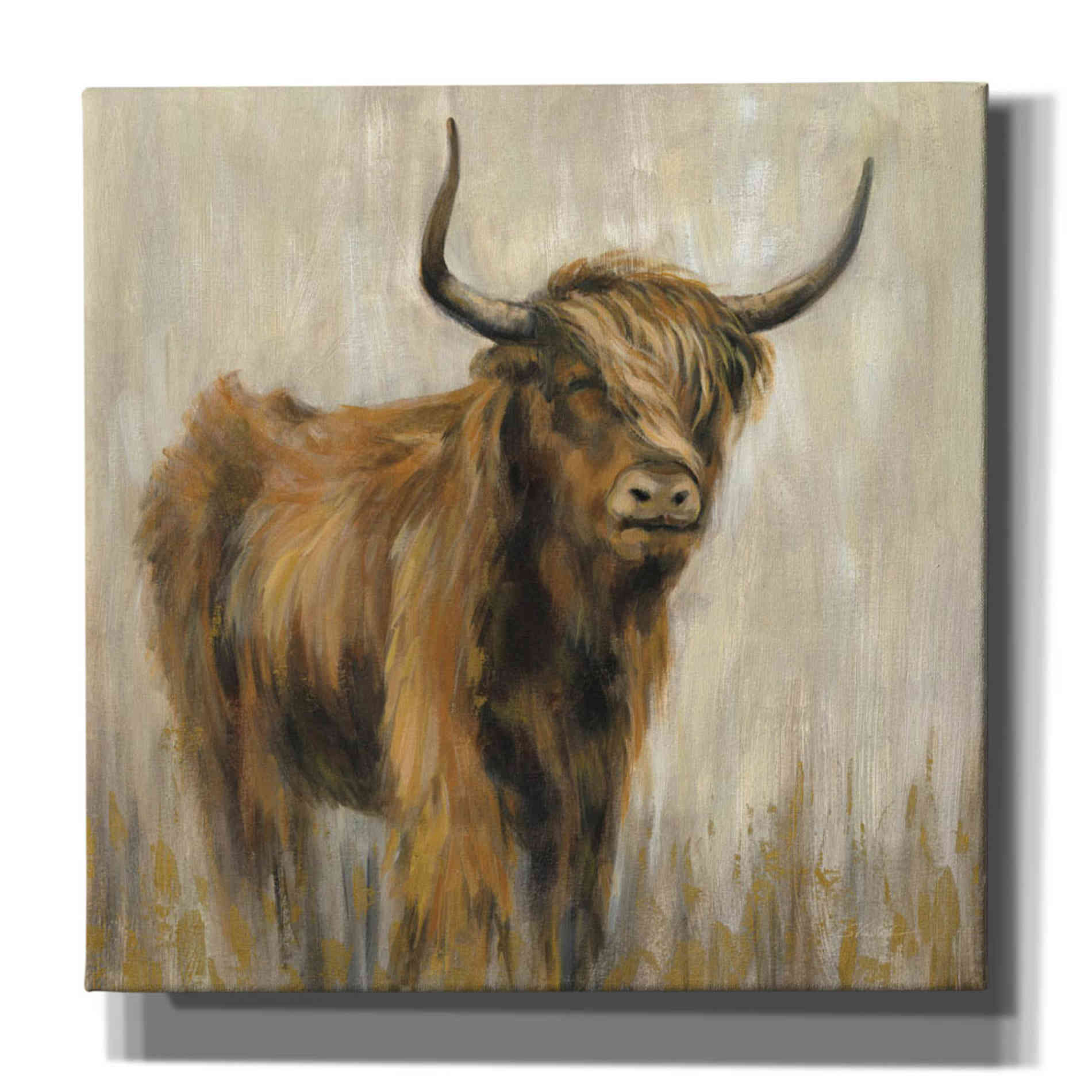 'Highland Mountain Cow' by Silvia Vassileva, Canvas Wall Art