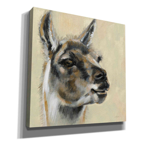Image of 'Llama Portrait' by Silvia Vassileva, Canvas Wall Art