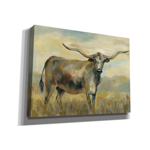 Image of 'Longhorn Cow' by Silvia Vassileva, Canvas Wall Art