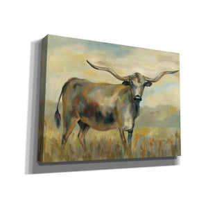 'Longhorn Cow' by Silvia Vassileva, Canvas Wall Art