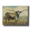 'Longhorn Cow' by Silvia Vassileva, Canvas Wall Art