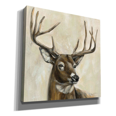 Image of 'Bronze Deer' by Silvia Vassileva, Canvas Wall Art