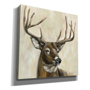 'Bronze Deer' by Silvia Vassileva, Canvas Wall Art