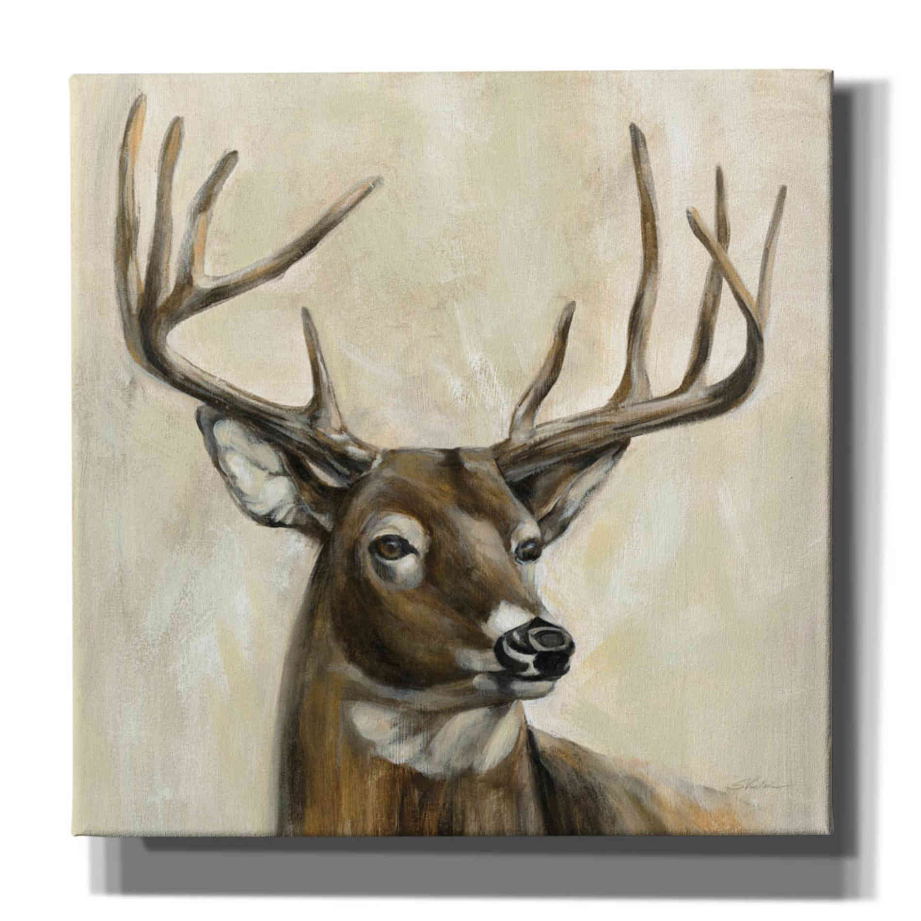'Bronze Deer' by Silvia Vassileva, Canvas Wall Art