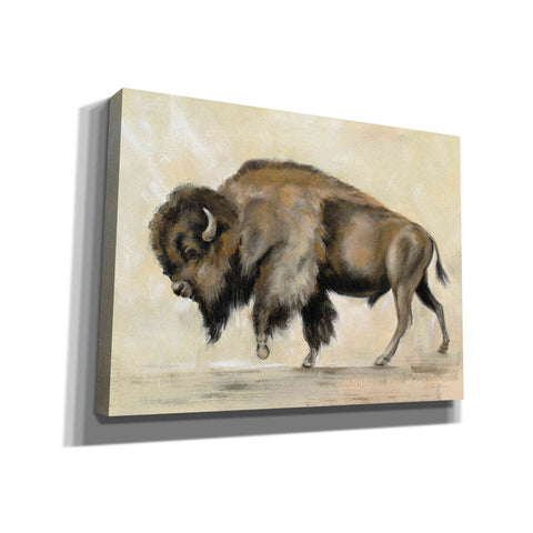 Image of 'Bronze Buffalo' by Silvia Vassileva, Canvas Wall Art