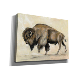 'Bronze Buffalo' by Silvia Vassileva, Canvas Wall Art
