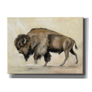 'Bronze Buffalo' by Silvia Vassileva, Canvas Wall Art