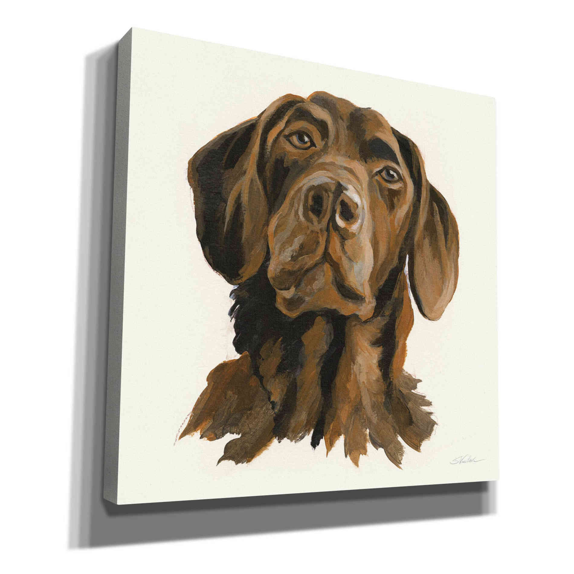 'Oscar' by Silvia Vassileva, Canvas Wall Art