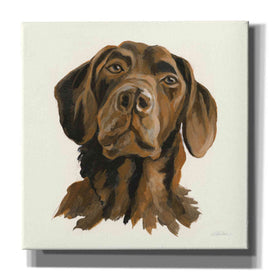 'Oscar' by Silvia Vassileva, Canvas Wall Art