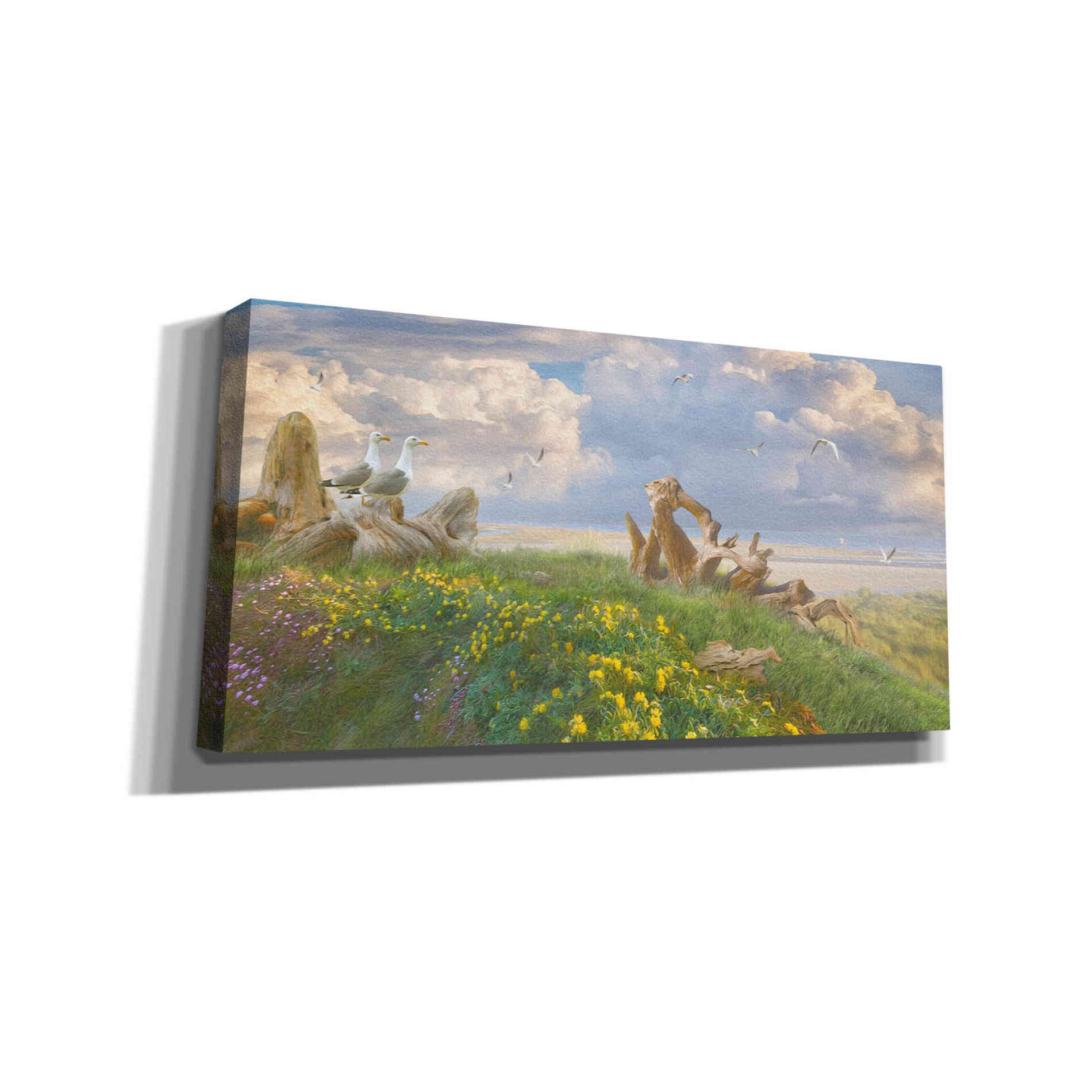 'Beach Lookouts' by Steve Hunziker, Canvas Wall Art