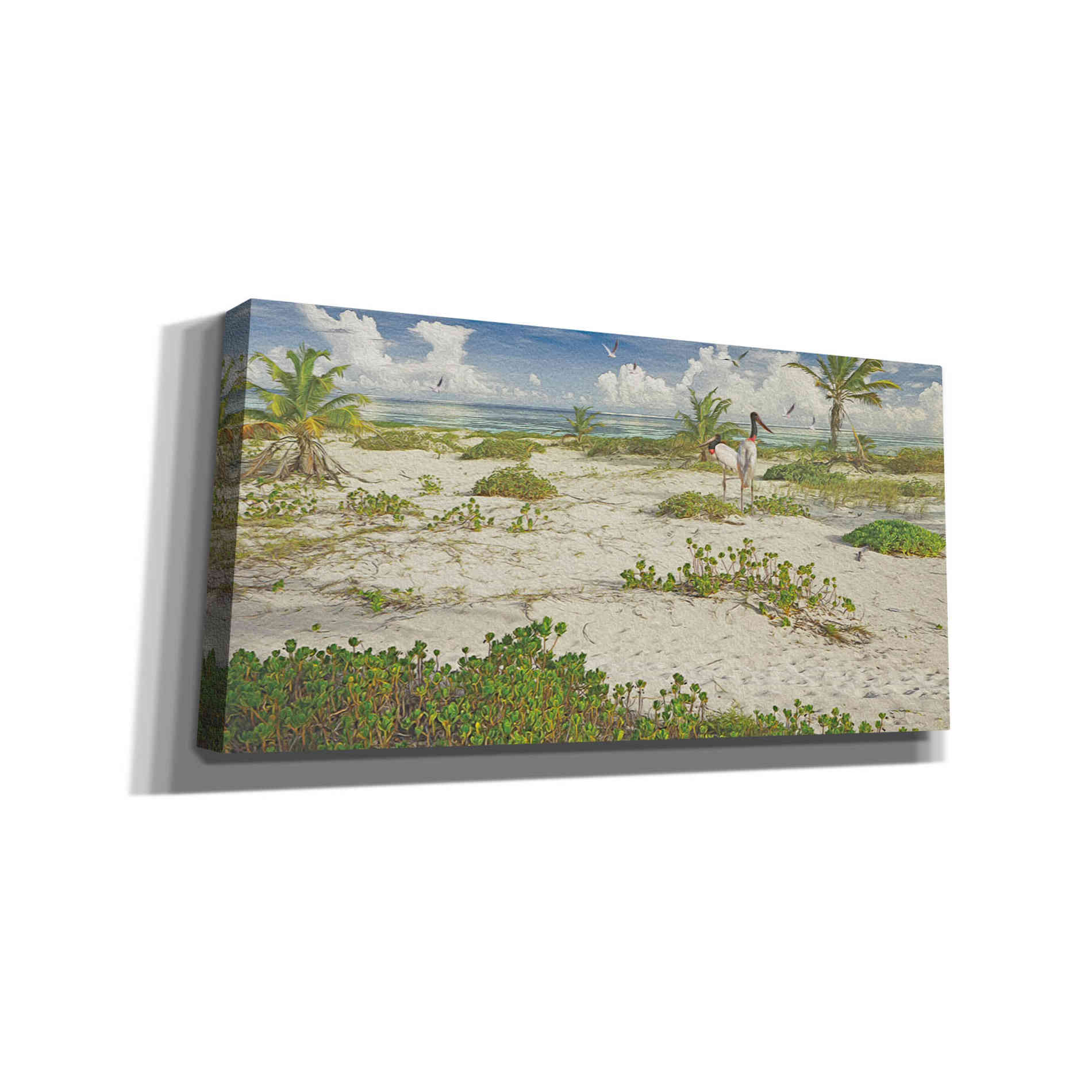 'Tropical Loners' by Steve Hunziker, Canvas Wall Art