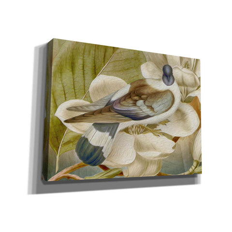 Image of 'Painted Plumage One' by Steve Hunziker, Canvas Wall Art